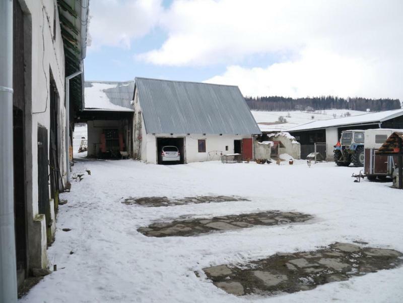 Pod Kasztanem Gospodarstwo Agroturystyczne Stronie Slaskie Exterior photo